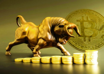 10 con vật trong thị trường cryptocurrency