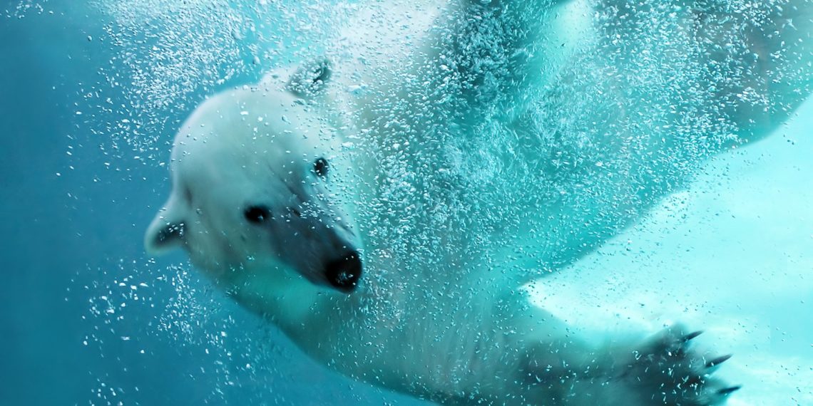 Theo thống kê - 70% ICOs bị "Chìm" trong năm 2018