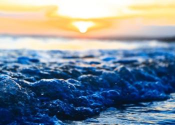 Ripple và Bitcoin Cash giúp thị trường Tiền điện tử tăng thêm 12 tỷ USD