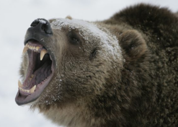 Phân tích giá trị Bitcoin ngày 23/10 - Cặp BTC/USD có nhiều biến động đáng kể