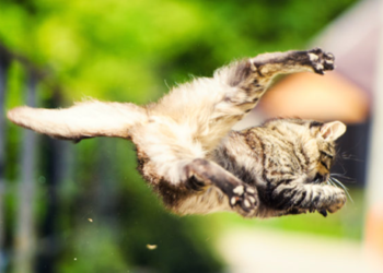 Phân tích giá trị Bitcoin ngày 22/11