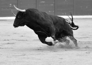 Phân tích giá trị Bitcoin ngày 20/12