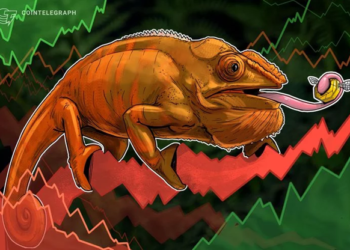 Phân tích thị trường ngày 14/12