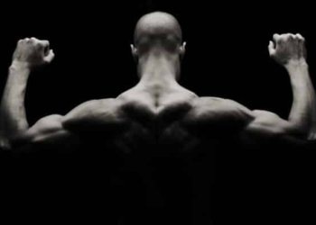 Sự thống trị của Bitcoin đạt mức cao nhất trong 3 tháng