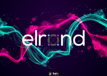 elrond network